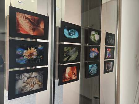 Fotografska razstava Jane Komprej (2)